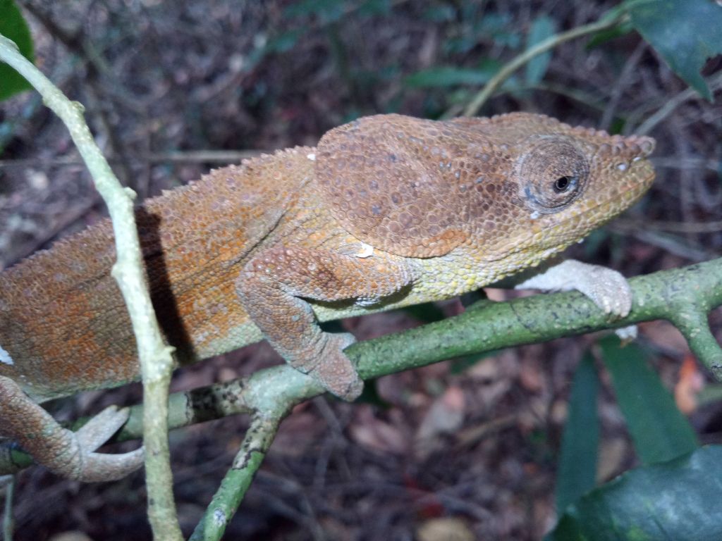 gaeltoursmadagascar_mini_tours_nord_3j2n_03