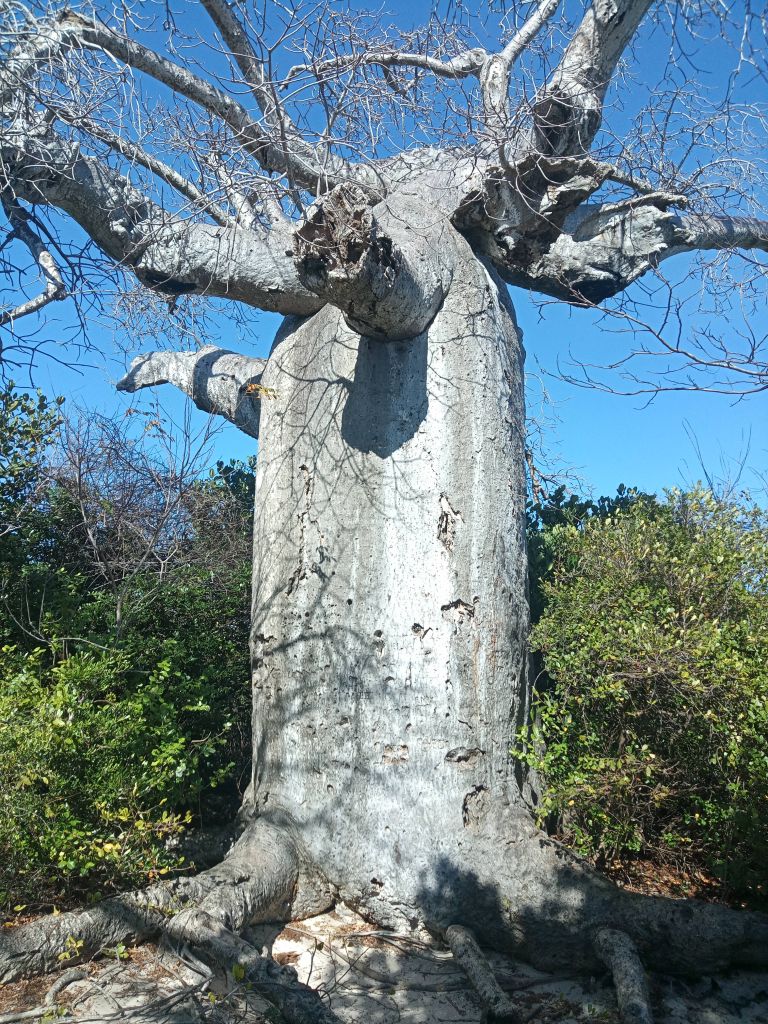 gaeltoursmadagascar_mini_tours_nord_5j-4n_01