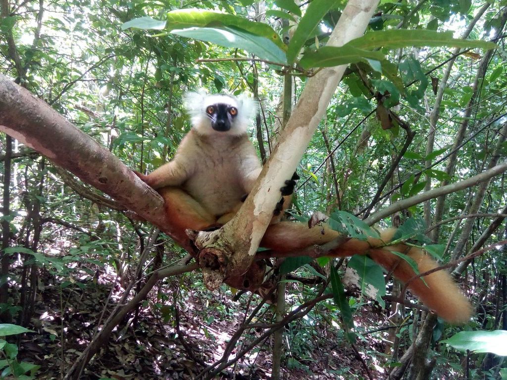 gaeltourmadagascar_photo_galerie_12