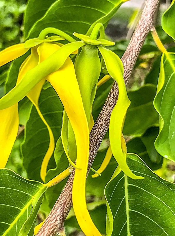 gaeltoursmadagascar-image-excursions-tours-guide-068