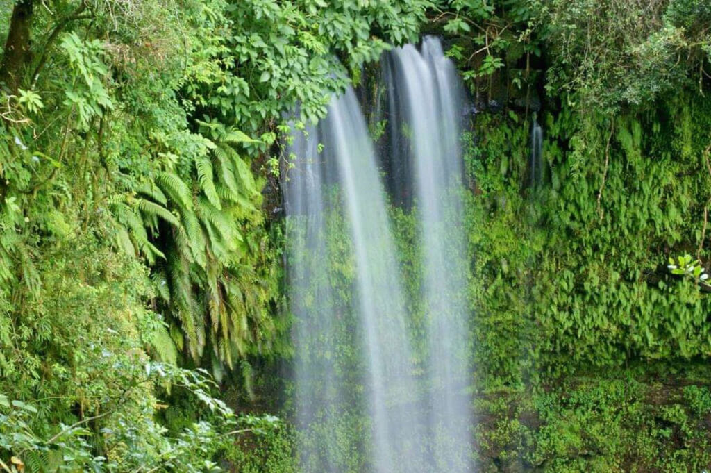 gaeltoursmadagascar-image-excursions-tours-guide-069