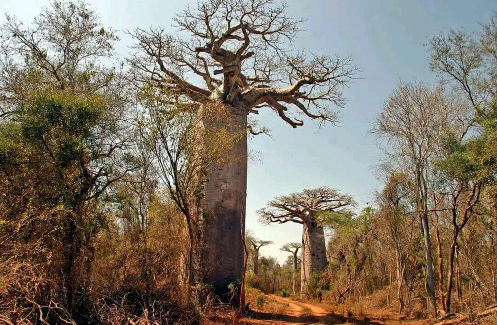 gaeltoursmadagascar-image-excursions-tours-guide-078