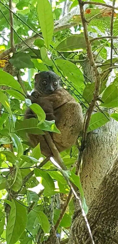 gaeltoursmadagascar-image-excursions-tours-guide-092