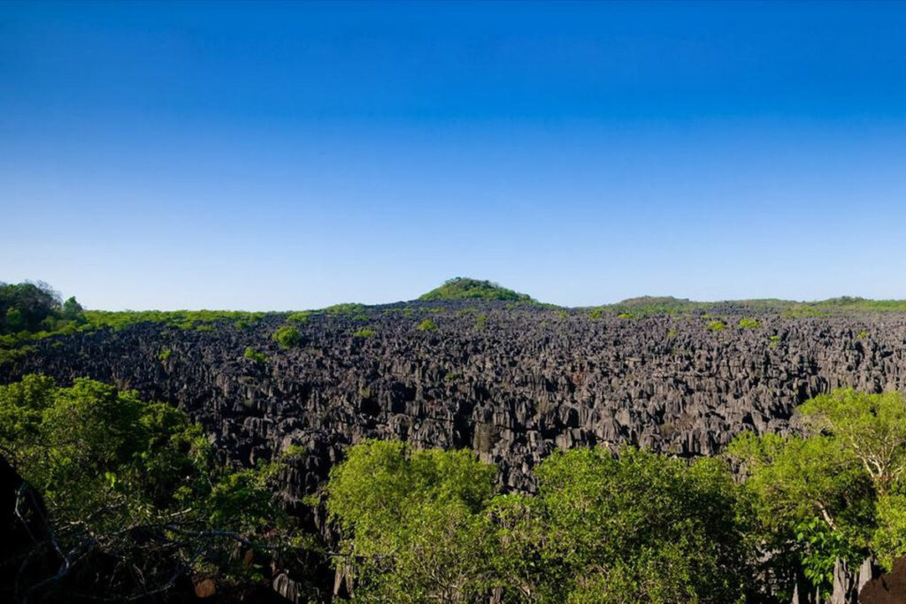 gaeltoursmadagascar-image-excursions-tours-guide-105